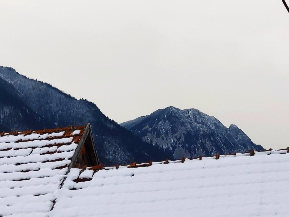 Casa Piatra Craiului Hotell Zărneşti Eksteriør bilde
