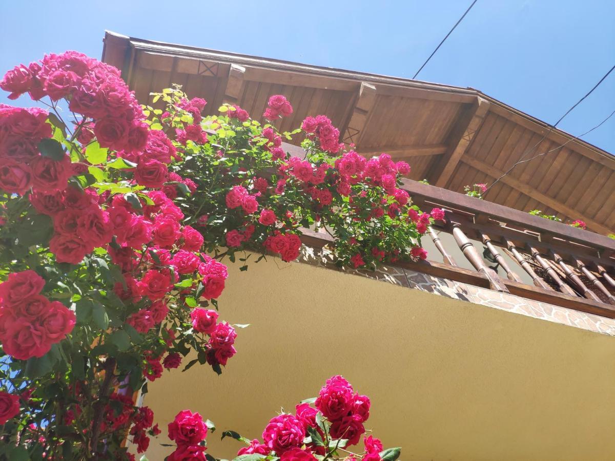 Casa Piatra Craiului Hotell Zărneşti Eksteriør bilde