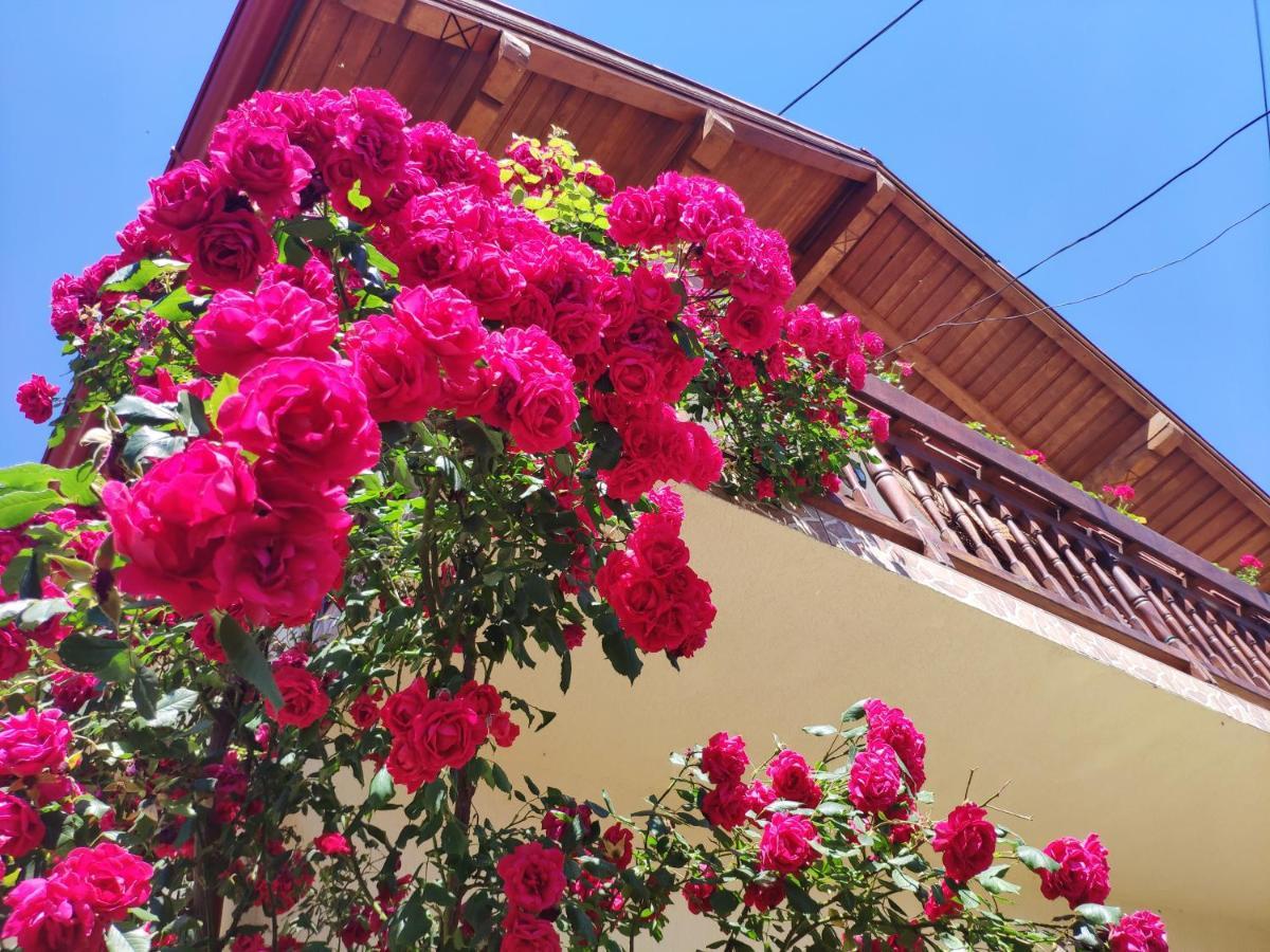 Casa Piatra Craiului Hotell Zărneşti Eksteriør bilde